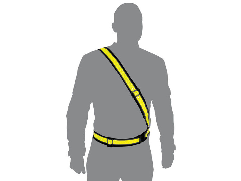 OXFORD Bright Belt click to zoom image