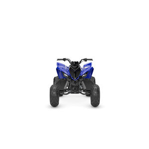 YAMAHA YFM 110R 2WD click to zoom image