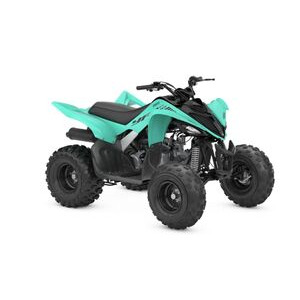 YAMAHA YFM 110R 2WD  Teal  click to zoom image