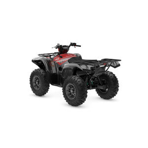 YAMAHA Grizzly 700 EPS click to zoom image