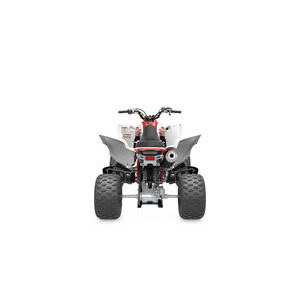 YAMAHA YFM700R 70th Anniversary Edition click to zoom image