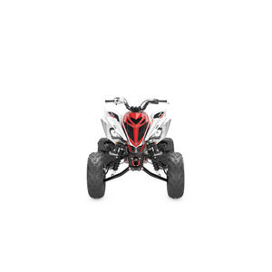 YAMAHA YFM700R 70th Anniversary Edition click to zoom image