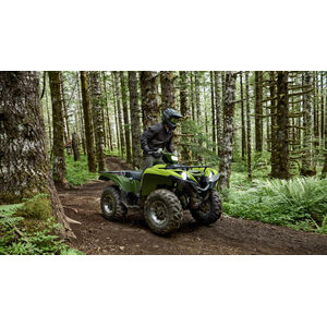 YAMAHA Grizzly 700 EPS click to zoom image