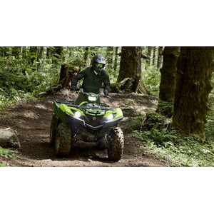 YAMAHA Grizzly 700 EPS click to zoom image