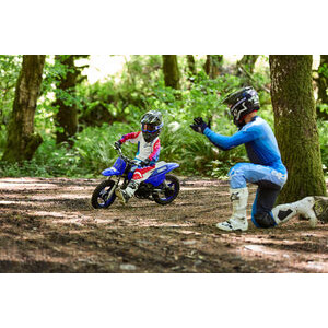YAMAHA PW 50 click to zoom image