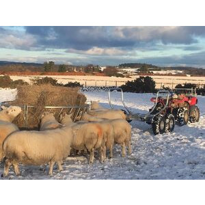 CHAPMAN BT500 Bale Transporter click to zoom image