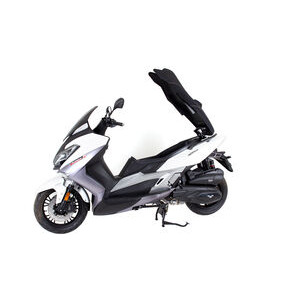 LEXMOTO Pegasus 300 Euro 5 click to zoom image