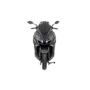 LEXMOTO Pegasus 300 Euro 5 click to zoom image