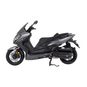 LEXMOTO Pegasus 300 Euro 5 click to zoom image