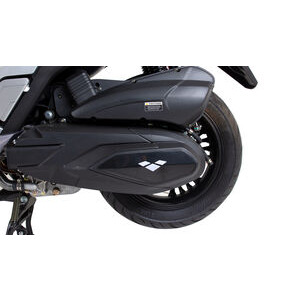 LEXMOTO Pegasus 300 Euro 5 click to zoom image