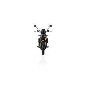 LEXMOTO RSS Street 125 E5 click to zoom image