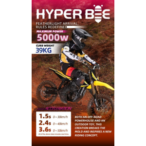 SUR-RON Hyper Bee 14/12 click to zoom image