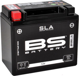 BS BATTERIES B12N553B click to zoom image