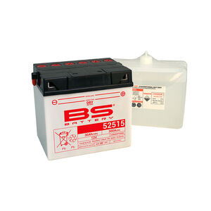 BS BATTERIES 52515 (DC) Combi-Pack Dry Battery 