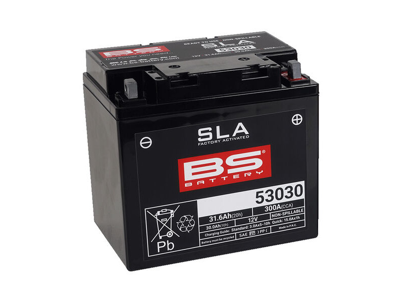 BS BATTERIES 53030 SLA (WC) Factory Activated Battery click to zoom image