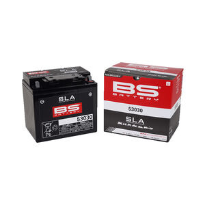 BS BATTERIES 53030 SLA (WC) Factory Activated Battery click to zoom image