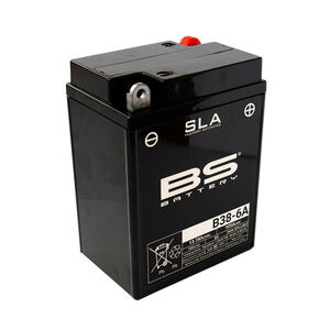 BS BATTERIES B38-6A SLA (WC) Factory Activated Battery 