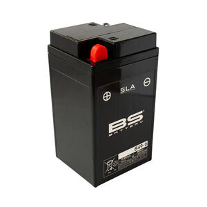 BS BATTERIES B49-6 SLA (WC) Factory Activated Battery 