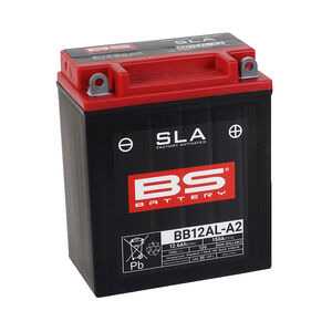BS BATTERIES BB12AL-A2 SLA (WC) Factory Activated Battery 