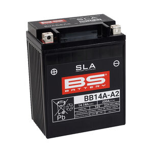 BS BATTERIES BB14A-A2 SLA (WC) Factory Activated Battery 