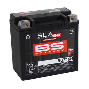 BS BATTERIES BGZ16H SLA Max (WC) Factory Activated Battery 