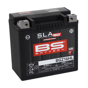 BS BATTERIES BGZ16HL SLA Max (WC) Factory Activated Battery 