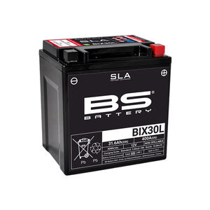 BS BATTERIES BIX30L SLA (WC) Factory Activated Battery 