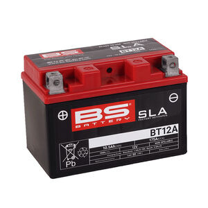 BS BATTERIES BT12A SLA (WC) Factory Activated Battery 