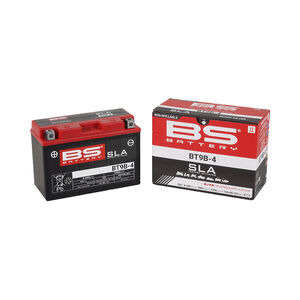 BS BATTERIES BT9B-4 SLA (WC) Factory Activated Battery click to zoom image