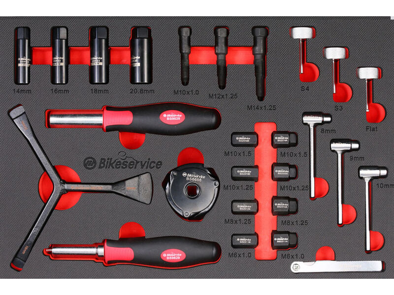 BIKESERVICE engine maintenence and calibration set click to zoom image