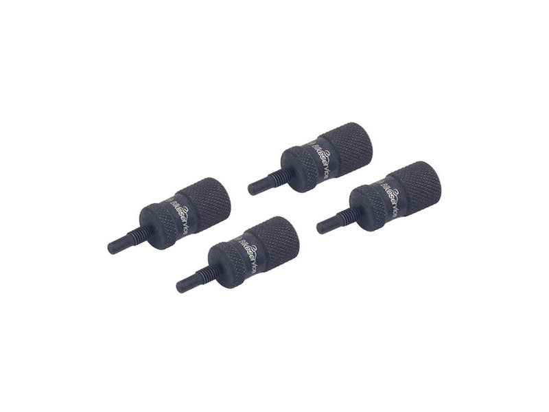 BIKESERVICE Ducati 2 Valve Camshaft Locking Pin Set - M5 x P0.8 BS30011 click to zoom image