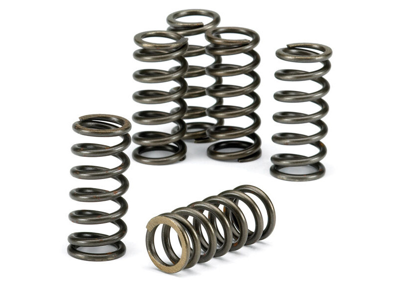 EBC BRAKES Clutch Spring Kit CSK071 click to zoom image