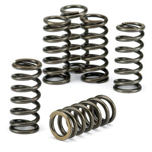 EBC BRAKES Clutch Spring Kit CSK187 