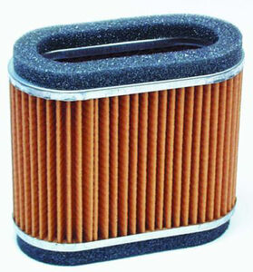 HIFLOFILTRO HFA2906 Air Filter-SPECIAL ORDER 