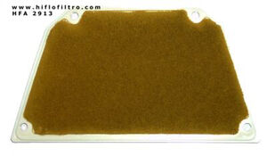 HIFLOFILTRO HFA2913 Air Filter-SPECIAL ORDER 