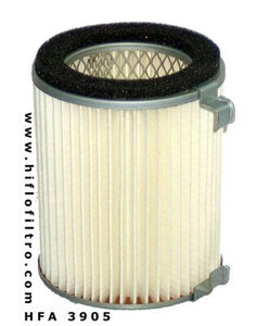 HIFLOFILTRO HFA3905 Air Filter 