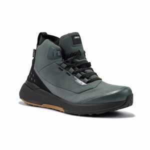 SIDI Nucleus GTX CE Shoes Ivy/Black 